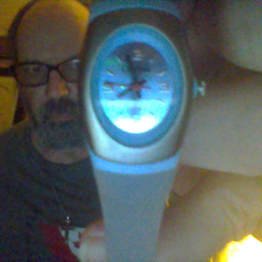 ladies Cardinal watch